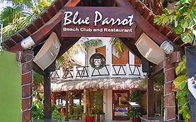 Blue Parrot Suites